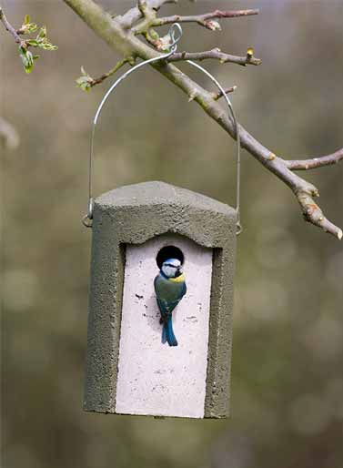 1B Nest Box with 32mm Hole