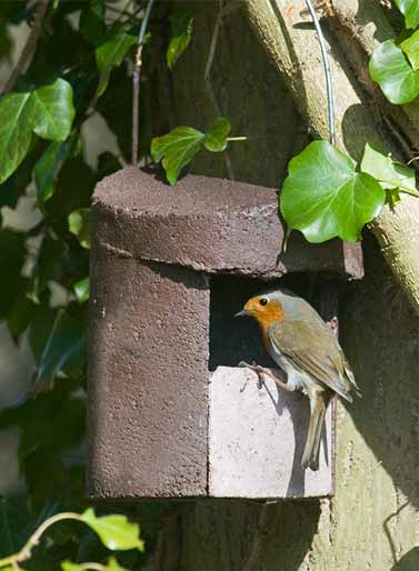 2H Nest Box