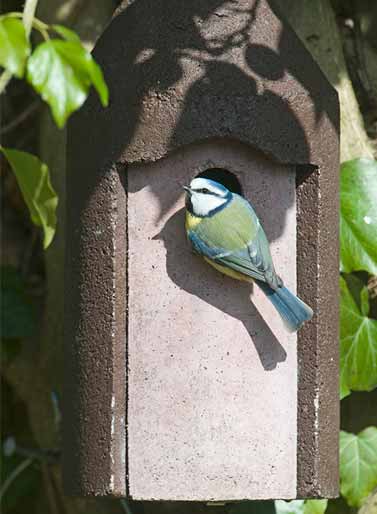 2M Nest Box